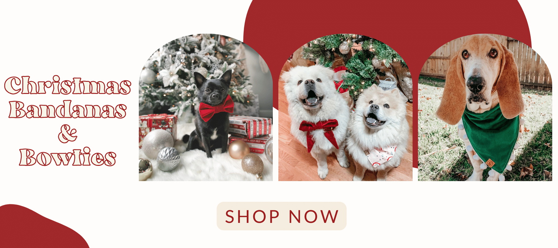 dogs wearing festive dog bandanas