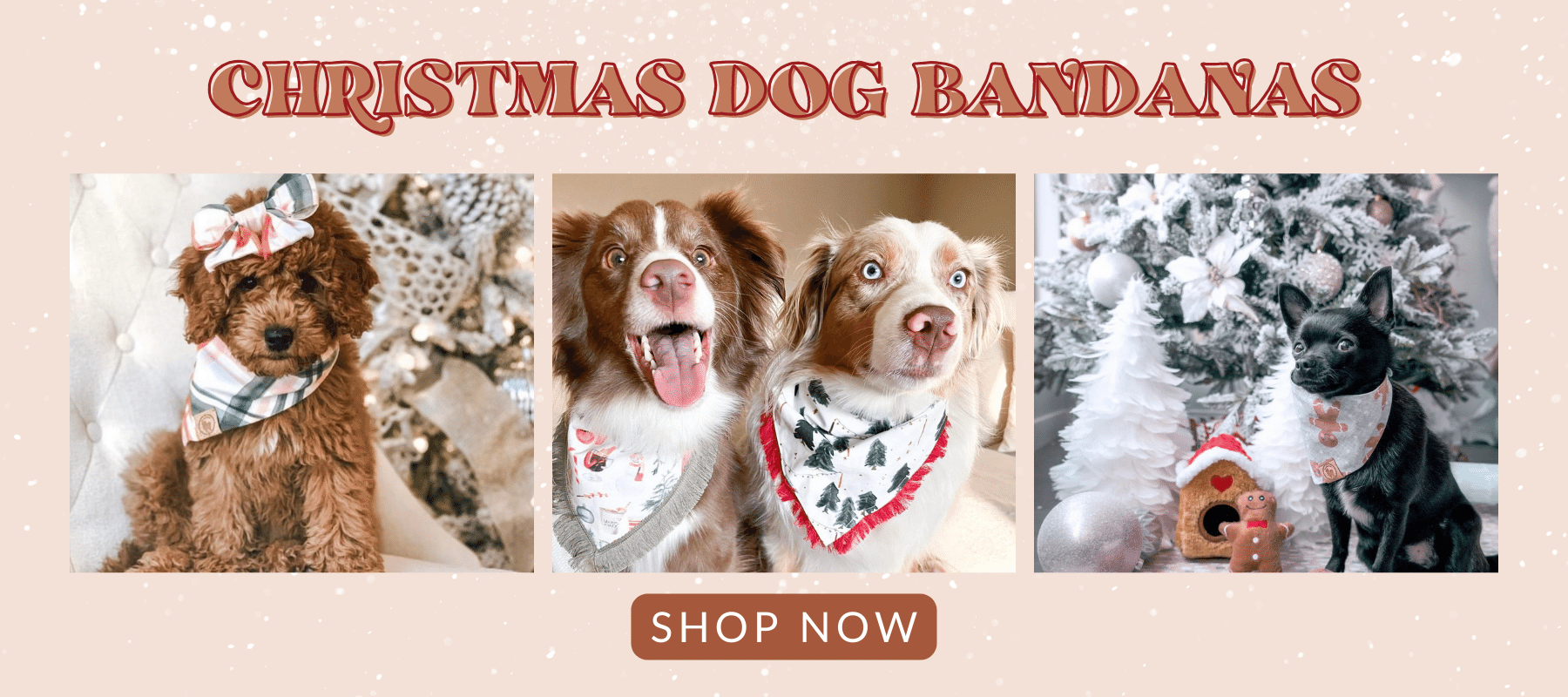 dogs wearing christmas dog bandanas