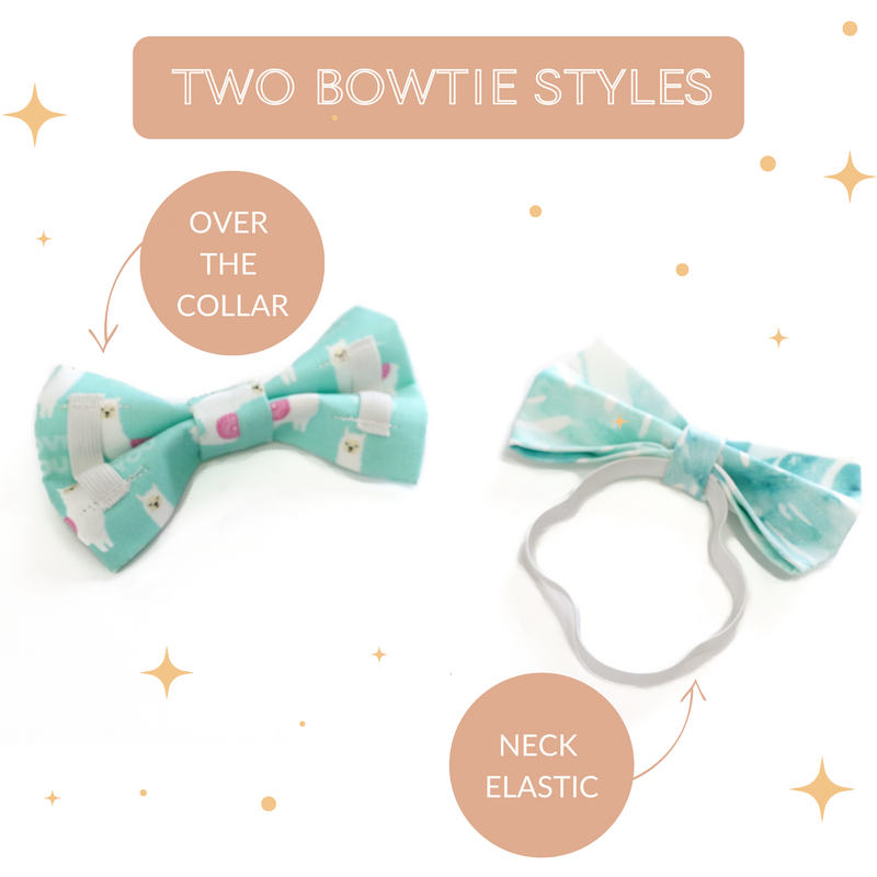 dog bowtie styles over the collar or neck elastic