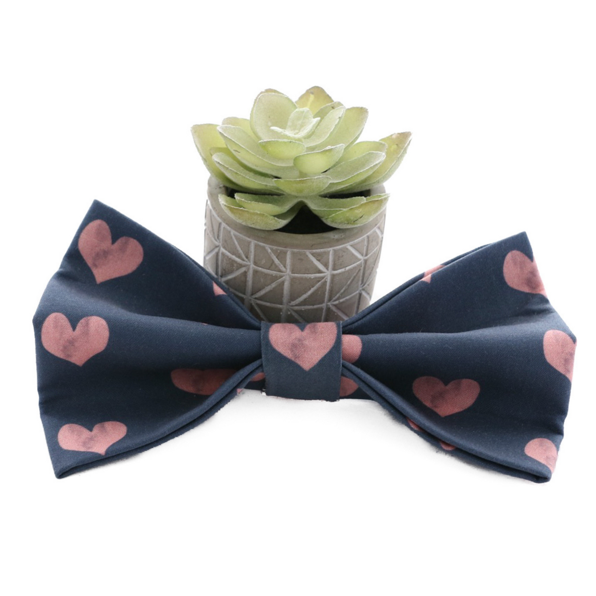 navy with pink hearts valentine dog bow tie